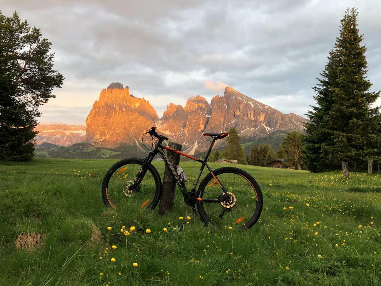 Saltria - Your Alpine Experience Alpe Di Siusi Luaran gambar